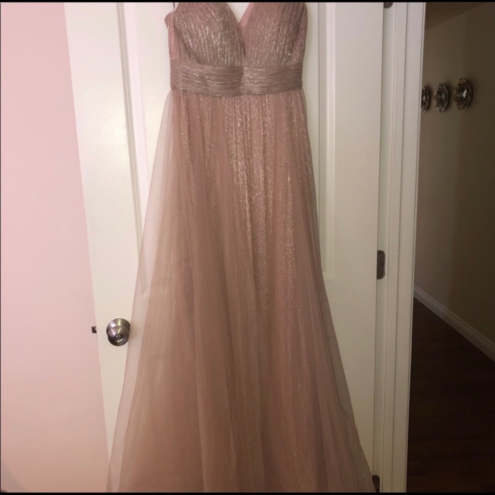 Cinderella Devine A-Line dress (Rosegold color) - Picture 3 of 3